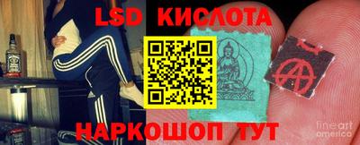 прущие крисы Ипатово