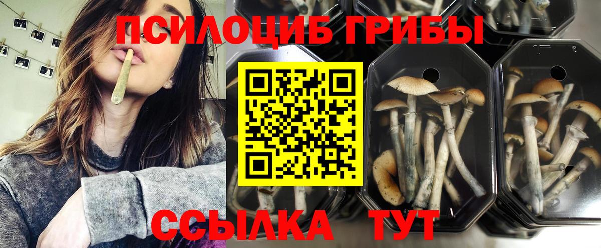 Магадан  Галлюциногенные грибы ЛСД  Галлюциногенные грибы Cubensis  Вход с VPN 